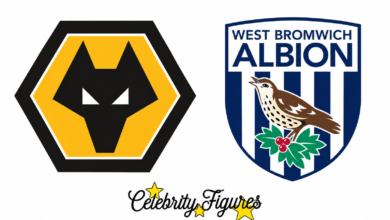 Wolves vs West Brom